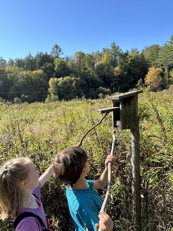 clean out bird house