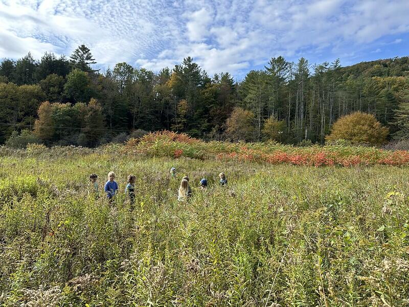 walking through field