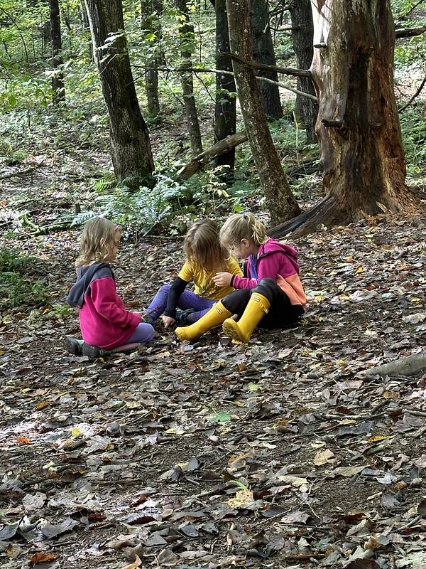 students in the woods