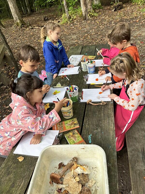 Students drawing mushrooms