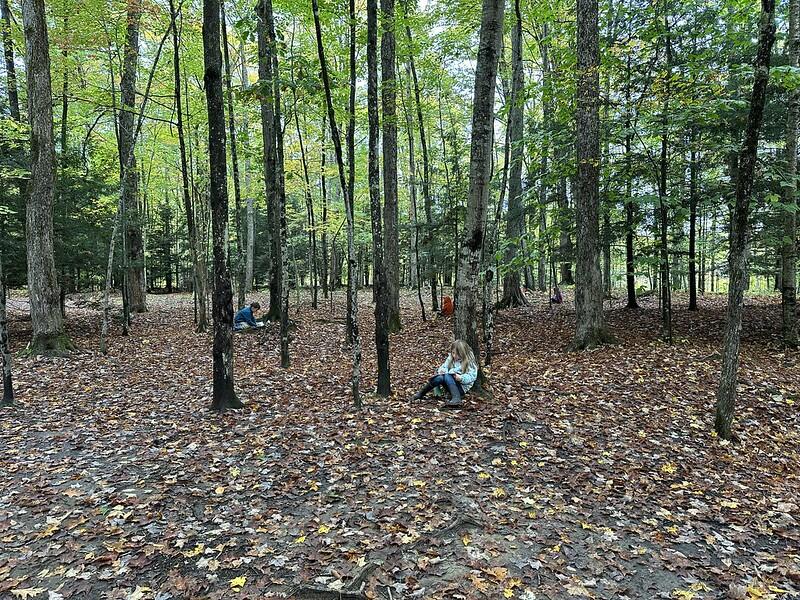 students journaling in woods