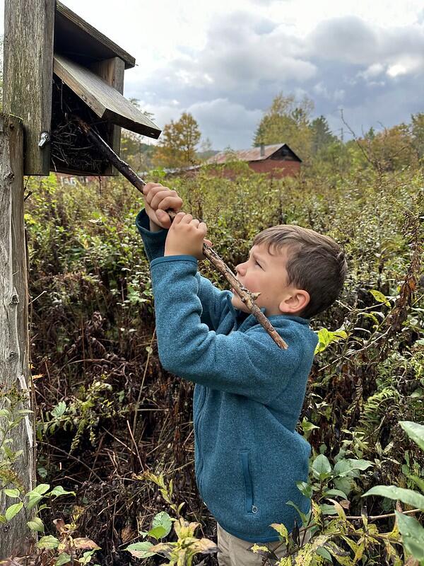 clearing out birdhouse