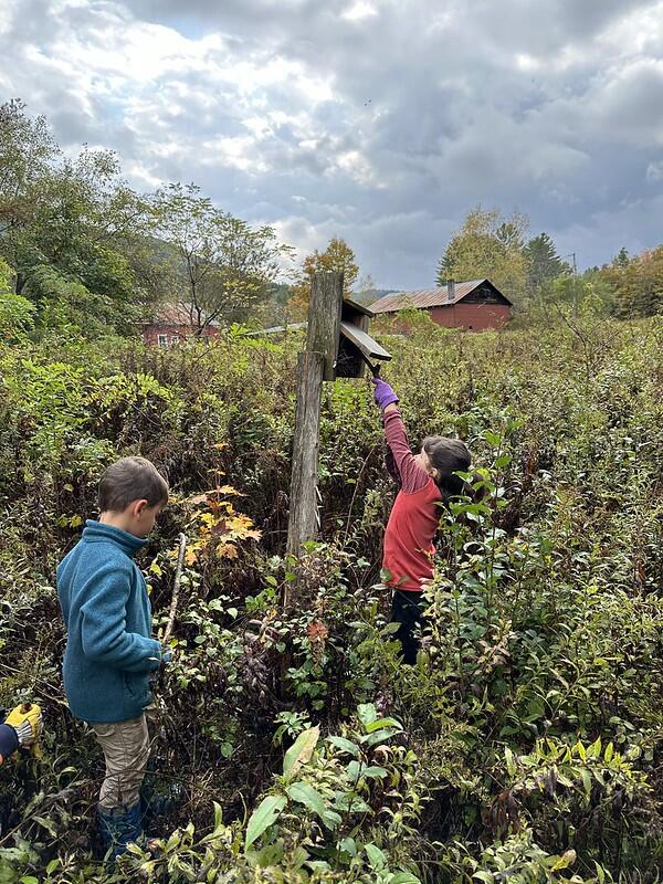 student cleaning birdhouse 