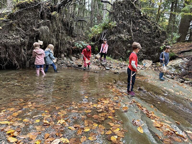 students in brook with nets