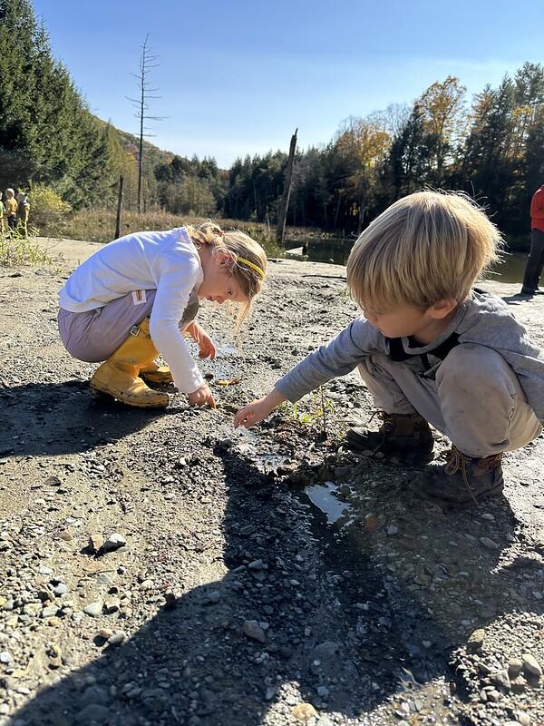 playing in the mud playing in the mud