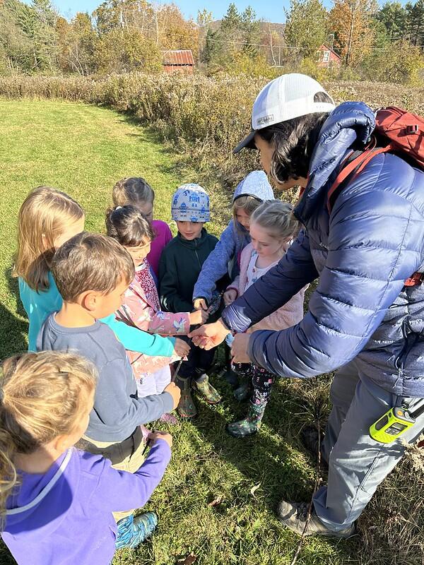 students looking at milkweed