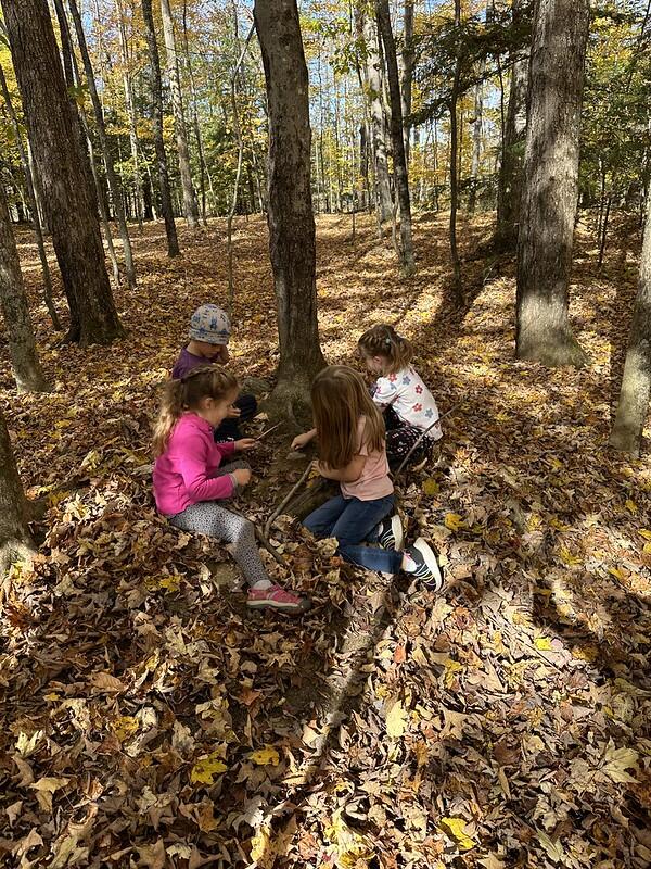 students in woods