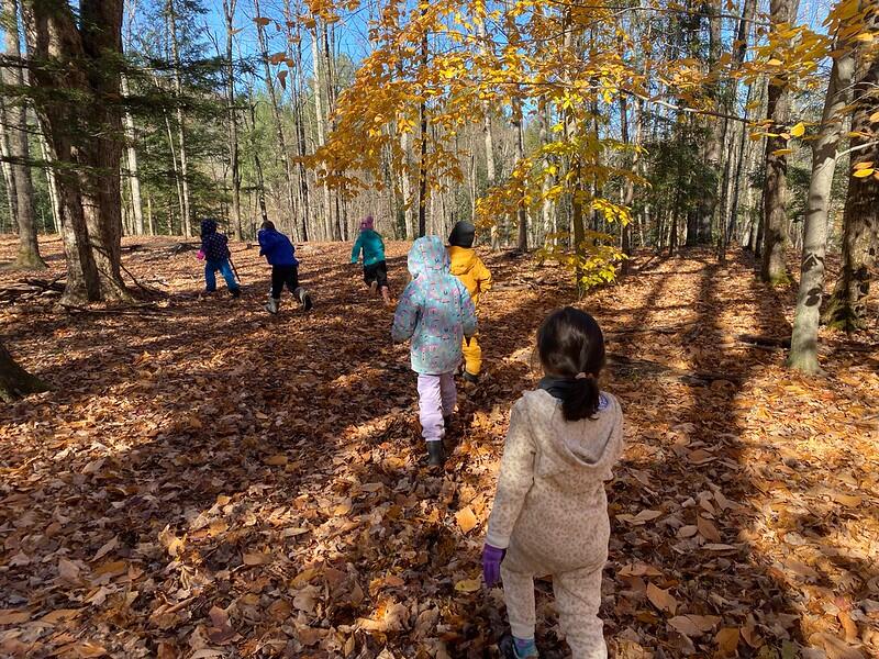 students walking in the woods