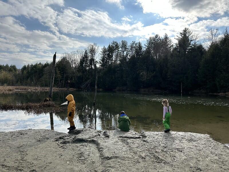 students looking at beaver pond