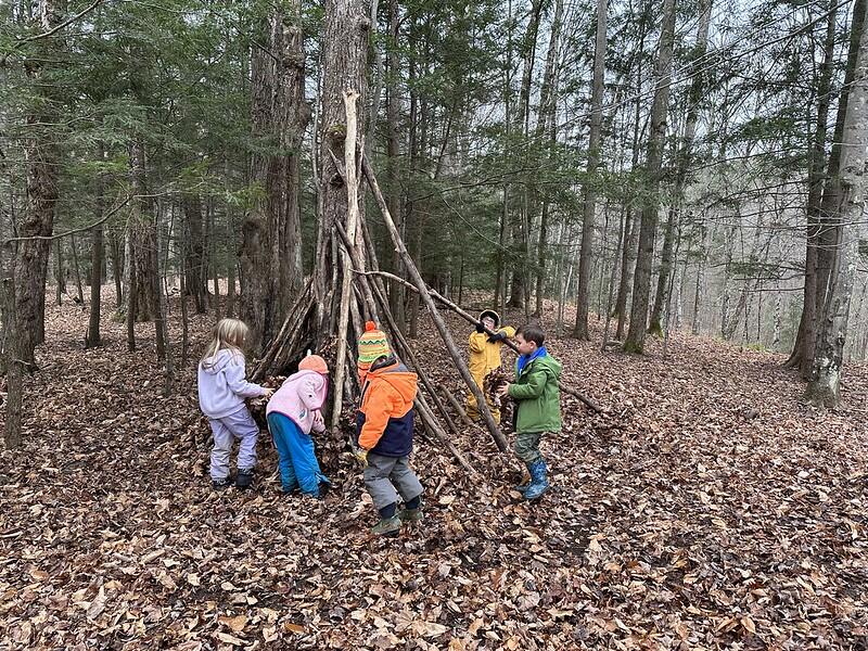 students in the woods