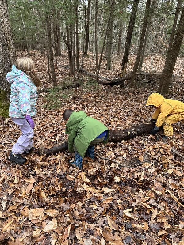 students moving log