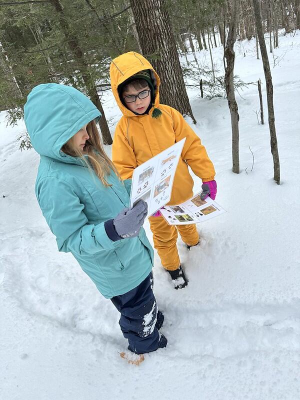 Students using tracking guides