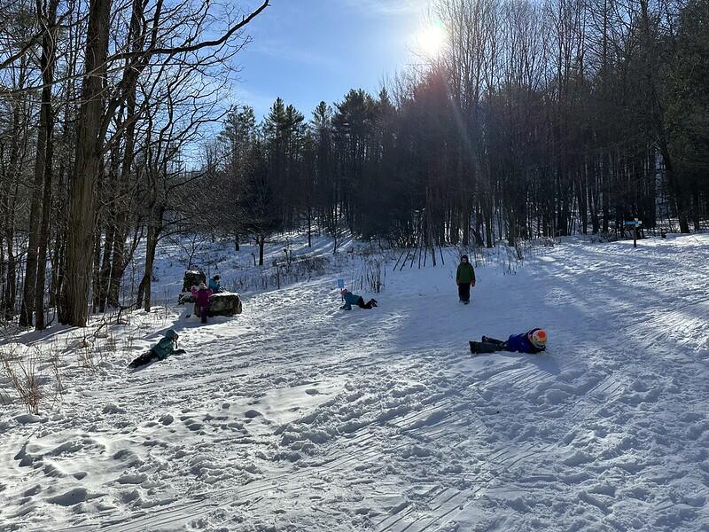 Students playing in the snow