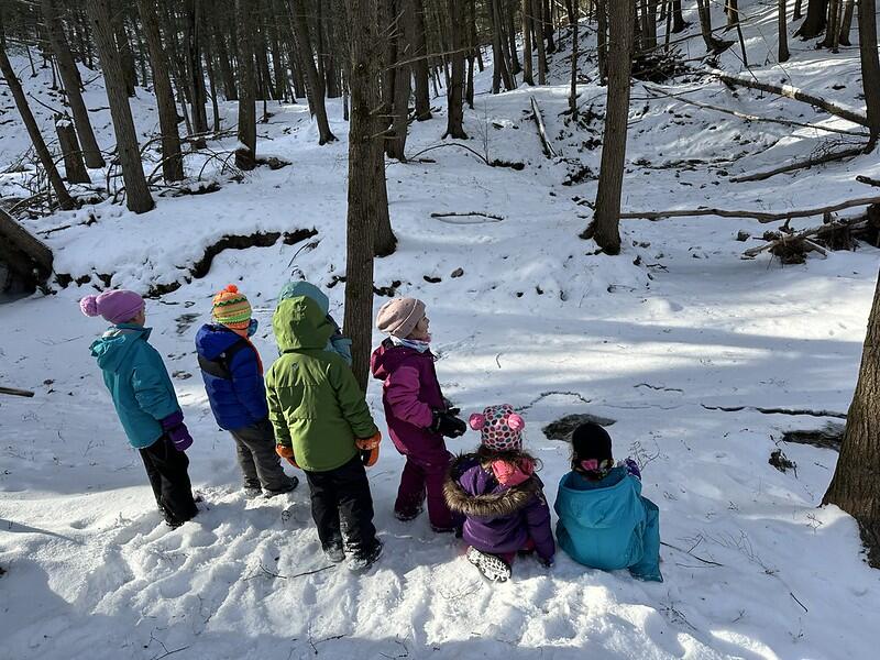 Students at the Brook