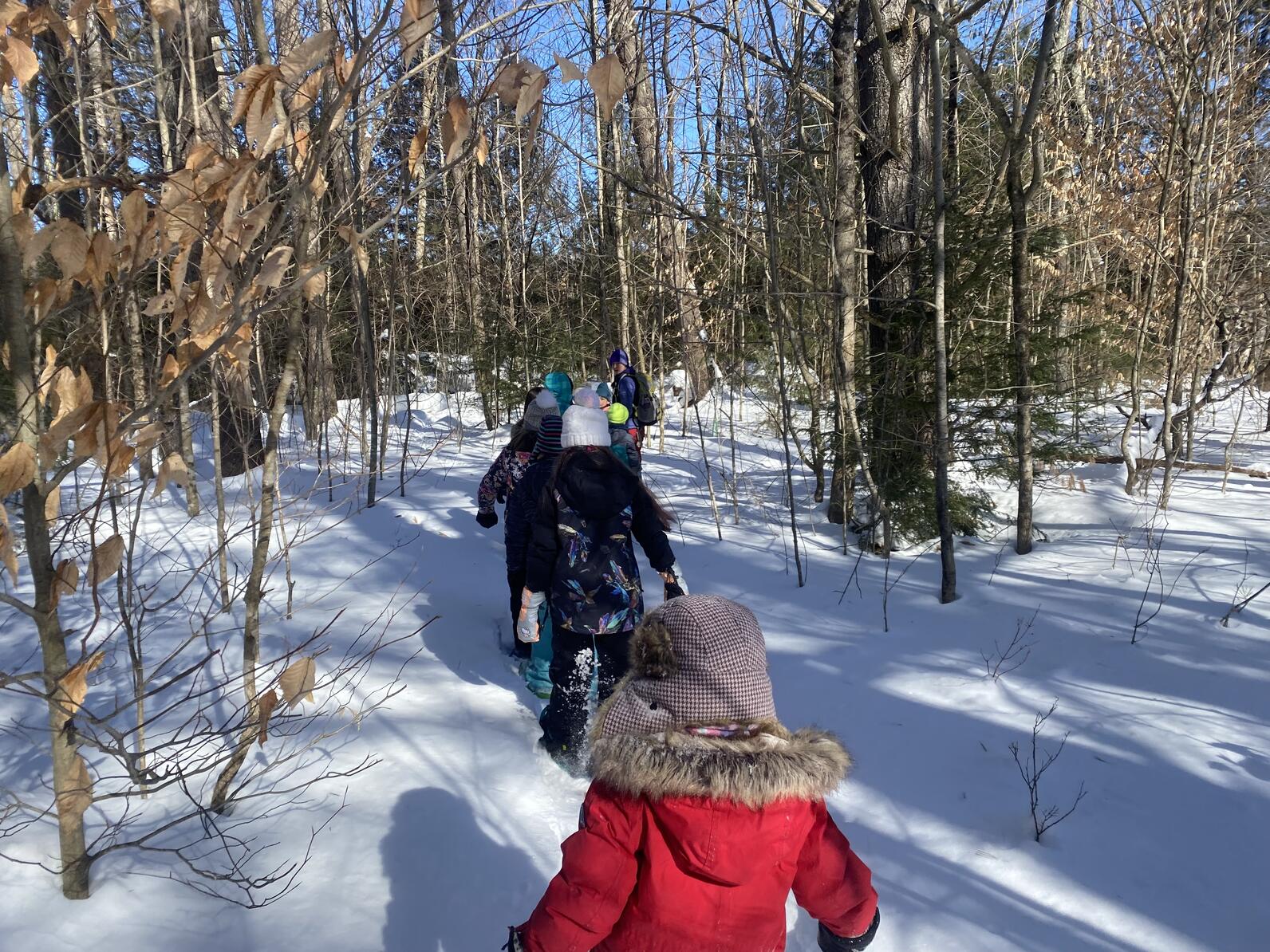 Students walking away from photographer on a trail through forest with snow on the ground 