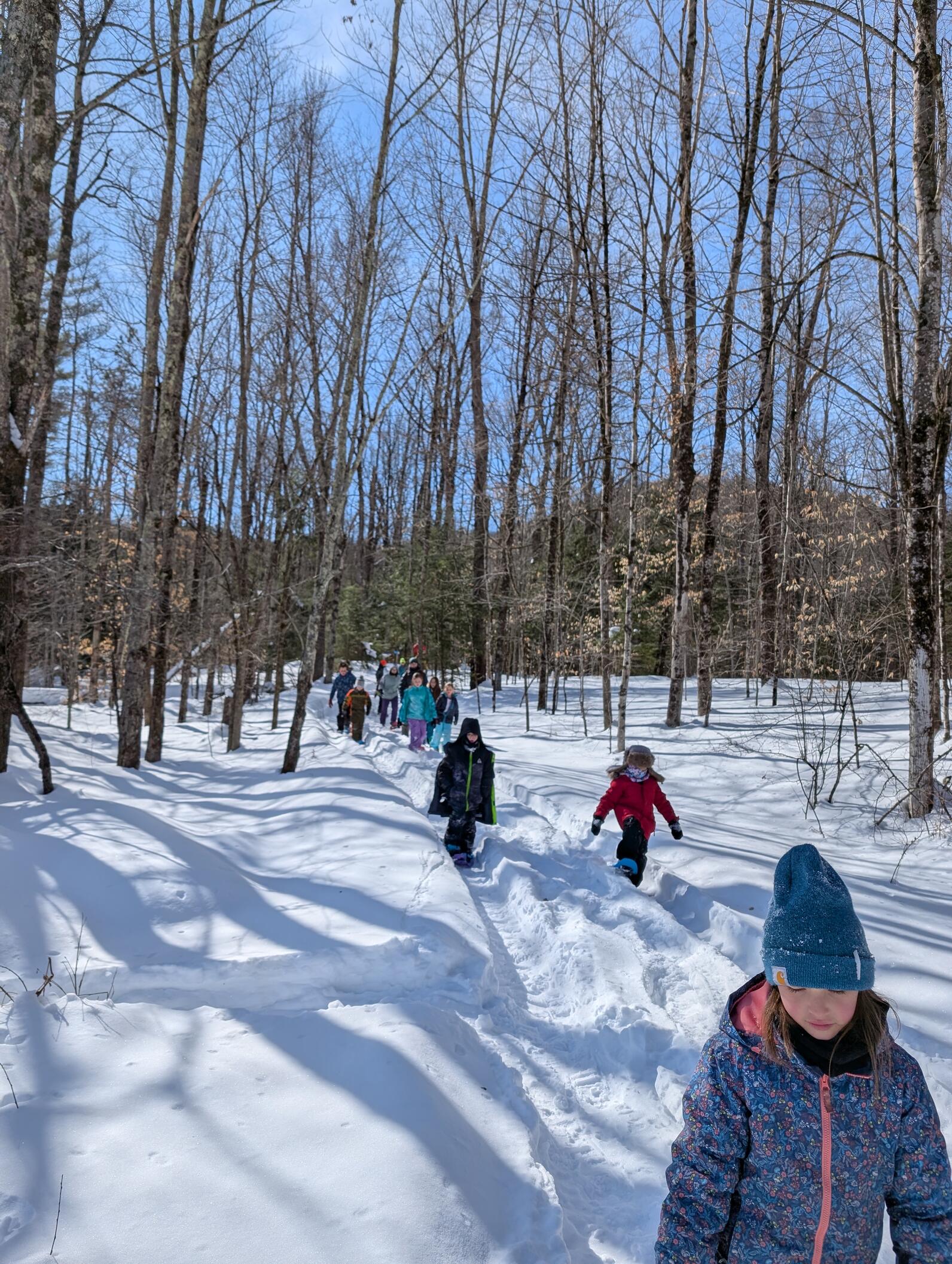 Several kids walk on a snowy trail through the forest towards the photographer