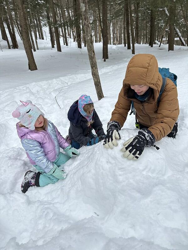 in the snow in the snow