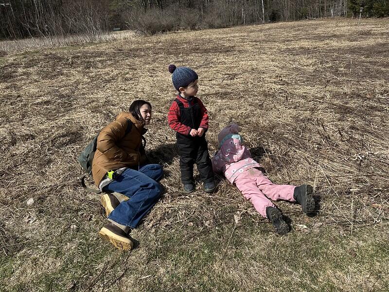 laying in the field laying in the field