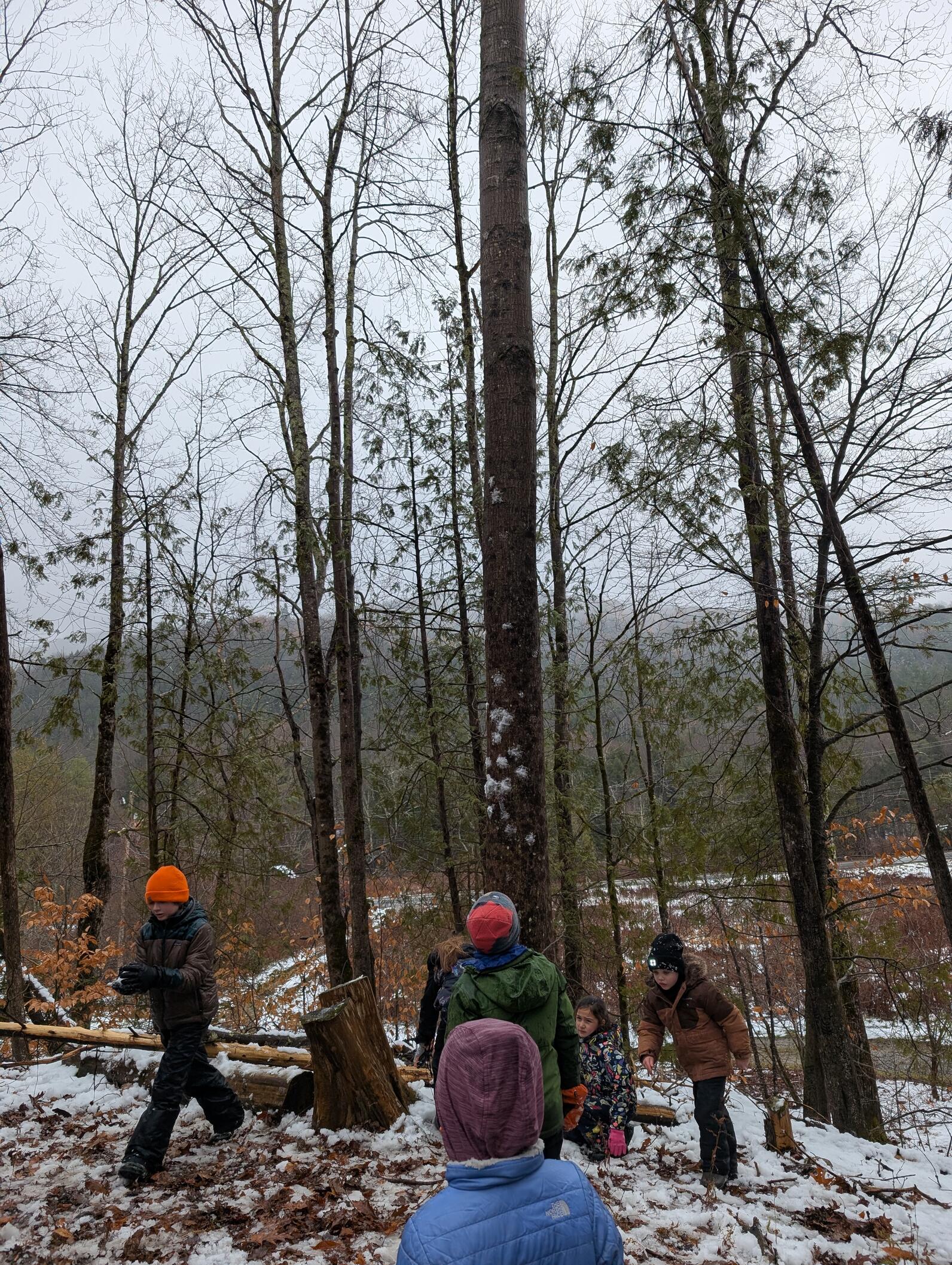 Several kids stand in front of a tree. The trunk is splattered with snowballs
