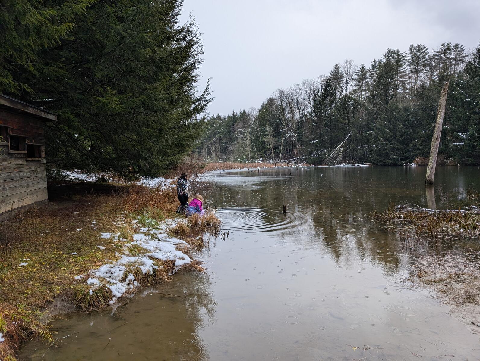 In the distance two kids crouch by the edge of a bond looking into it