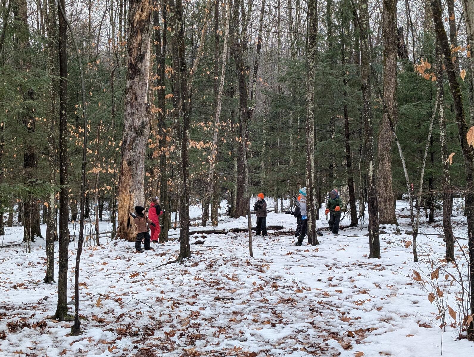 Kids stand in the forest. A few have snowballs and are poised to throw. There is about an inch of patchy snow on the ground