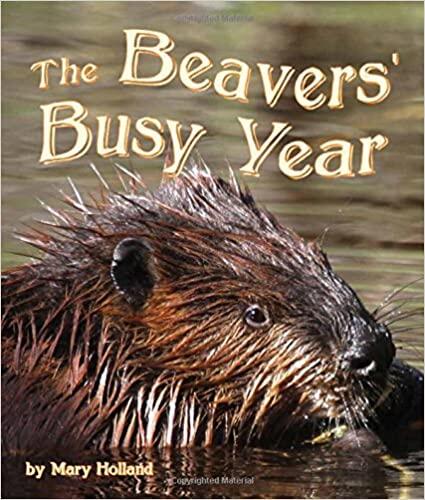Busy Beavers by Mary Holland