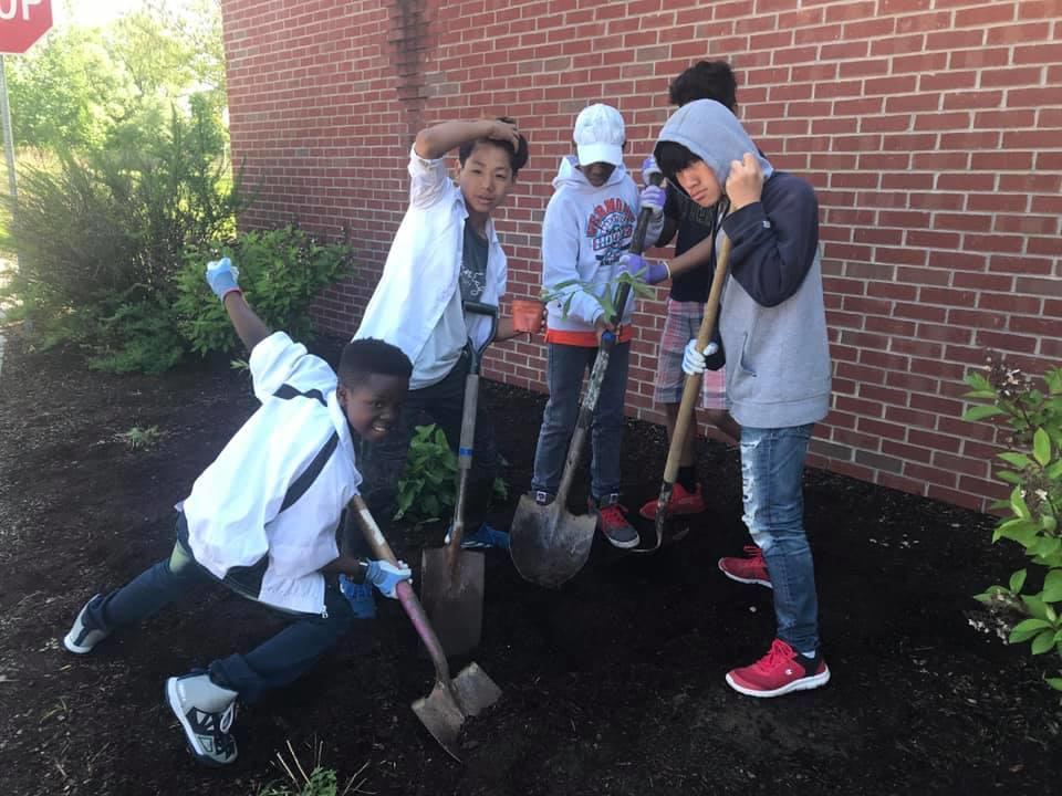 tree planting