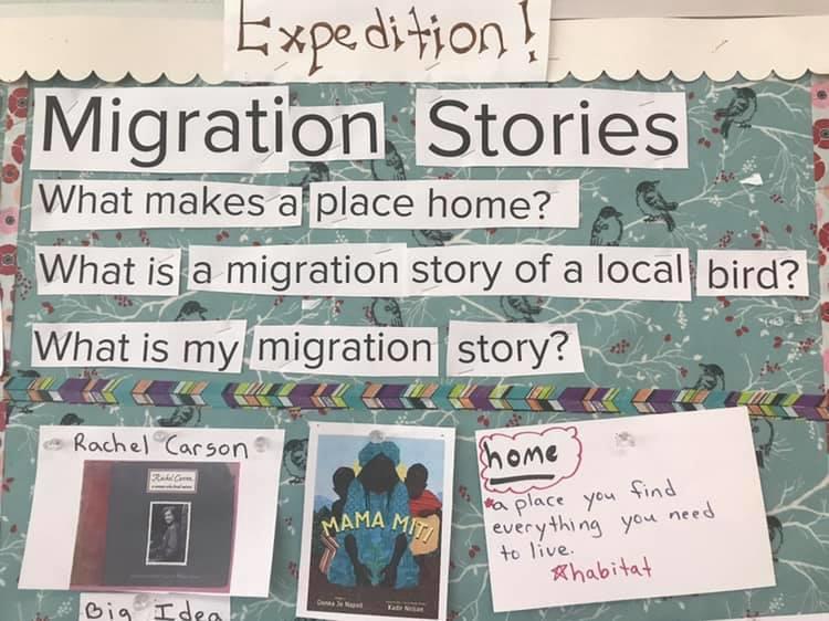 migration stories
