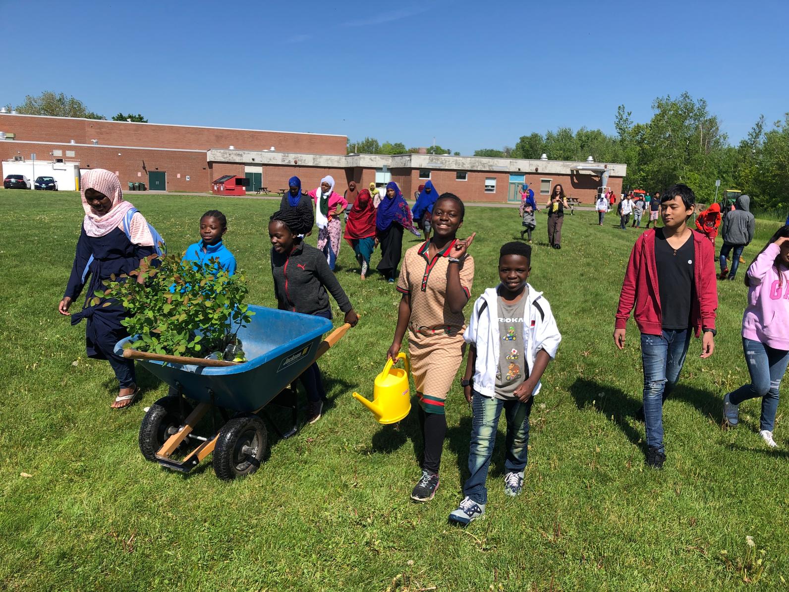 tree planting