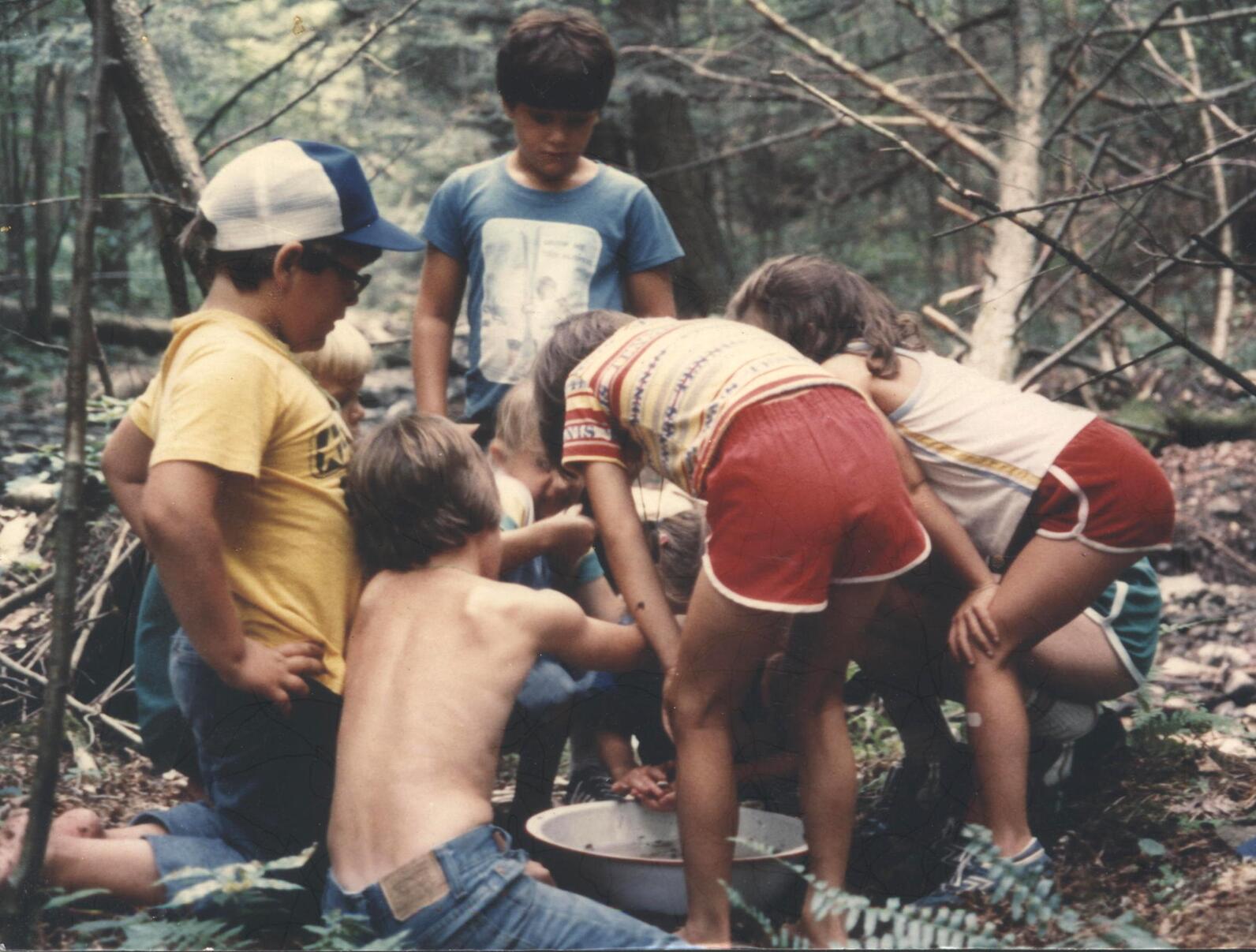 A group of children gathered around a bin on pond water and critters.