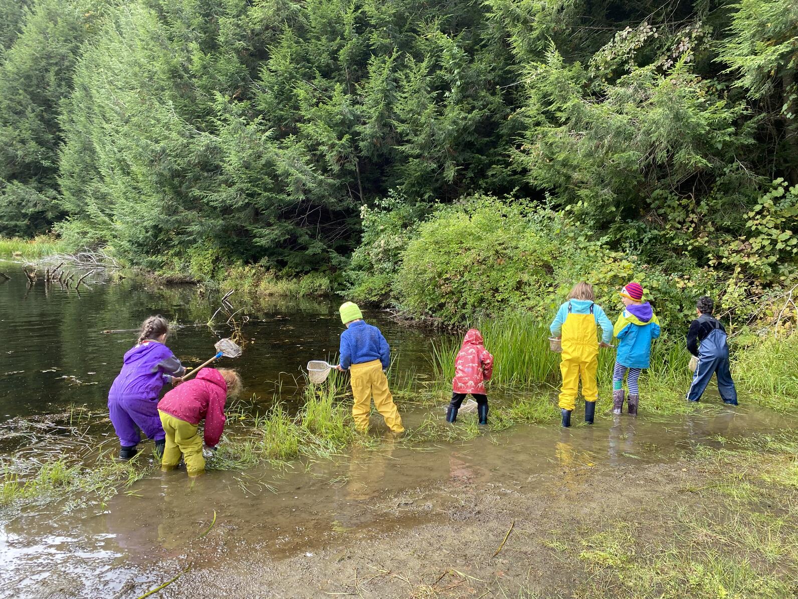 Students investigating the pond