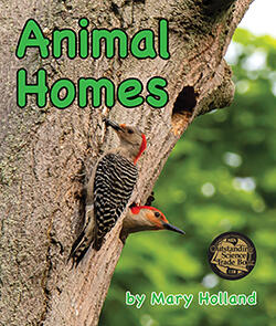 Animal Homes