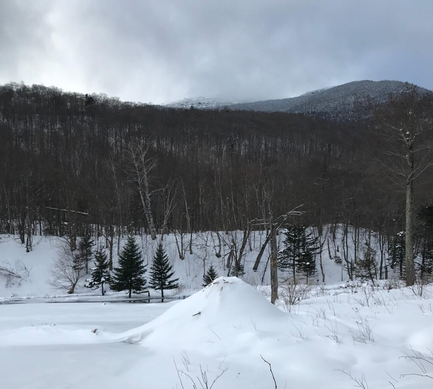 Snow-covered beaver lodge in Stowe, VT.