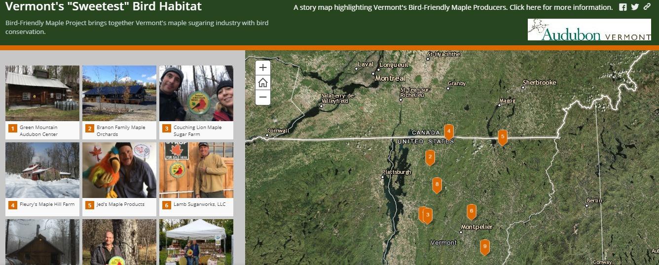 BFM Story Map