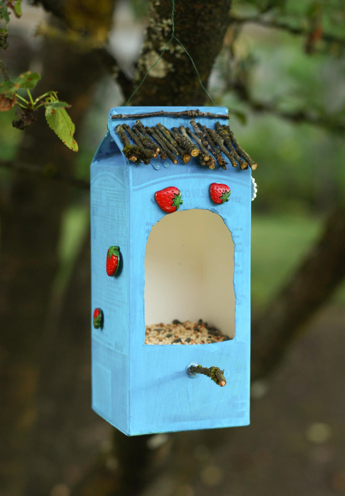 Make a Bird Feeder Out of Recycled Materials Audubon Vermont