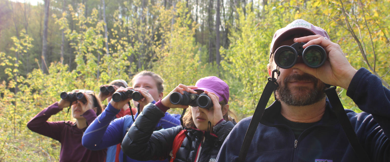 Birdathon Audubon Vermont