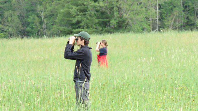 A young man and a young woman use binoculars to scan a hayfield for nesting Bobolinks.  