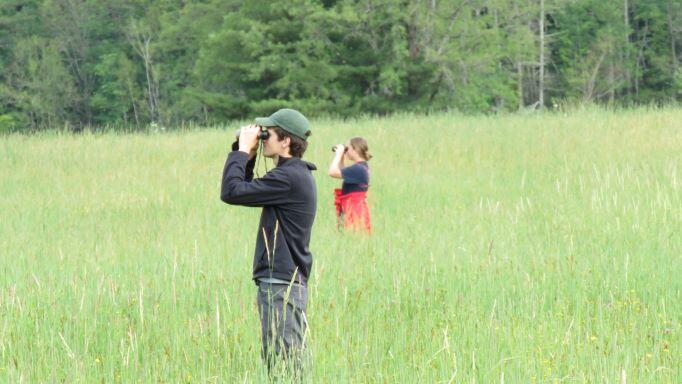 Surveying for Bobolinks A young man and a young woman use binoculars to scan a hayfield for nesting Bobolinks.