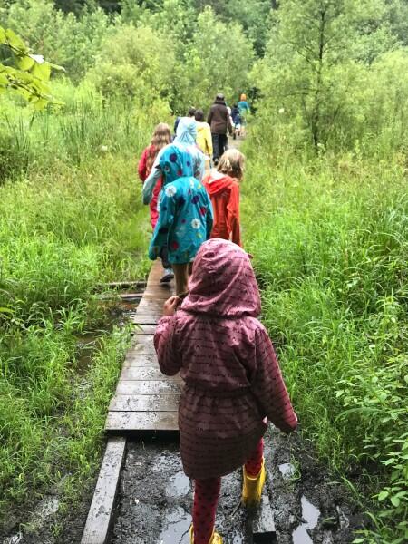 A line of children in raincoats walking over a boardwalk on a forested trail.