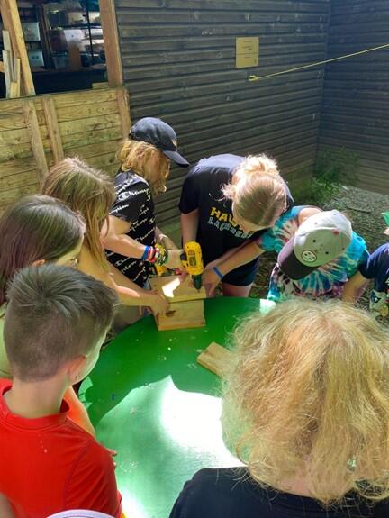 Building bird houses