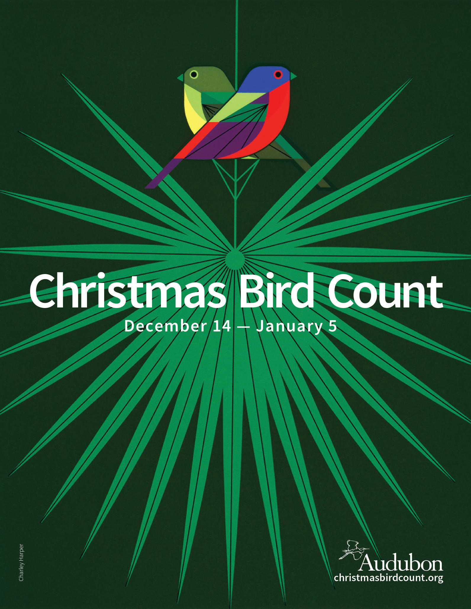Audubon Christmas Bird Count