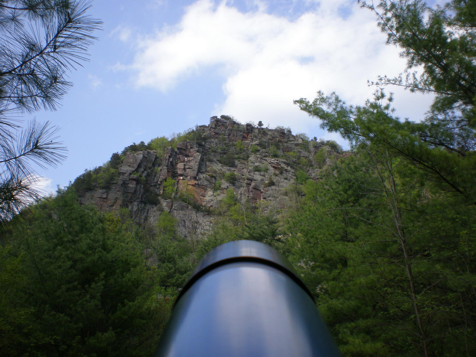 Peregrine Falcon monitoring