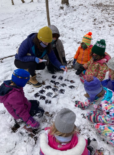 Counting bears Counting bears