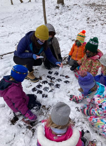 Counting bears