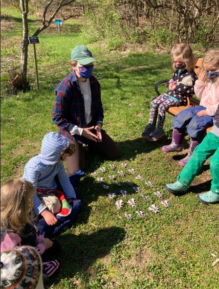 Counting bees.