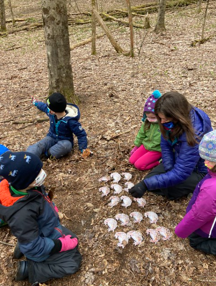 Counting toads