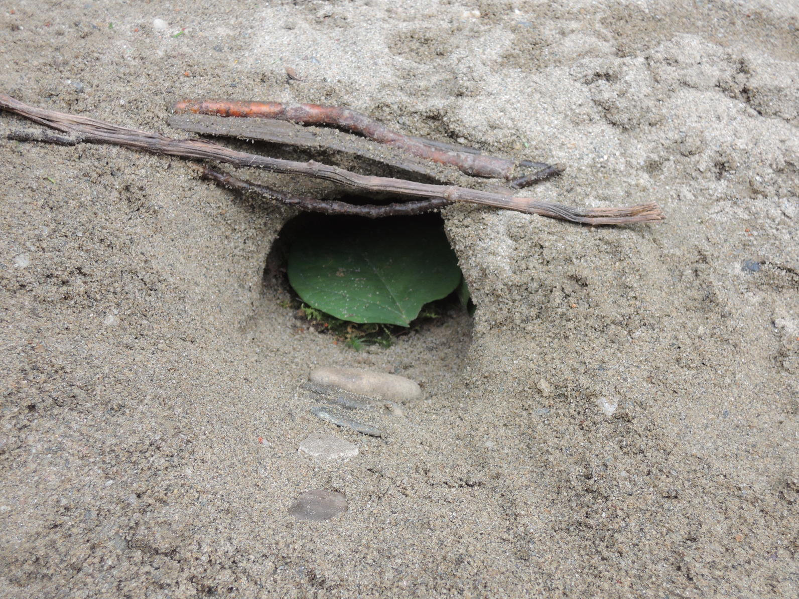 Fairy home at camp