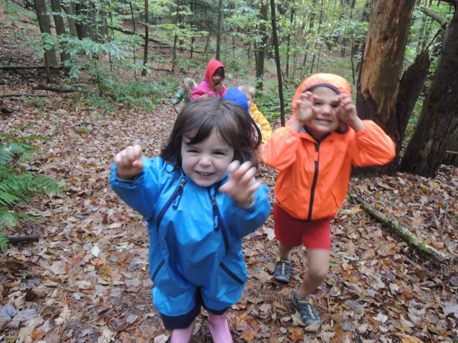 Preschoolers Roar