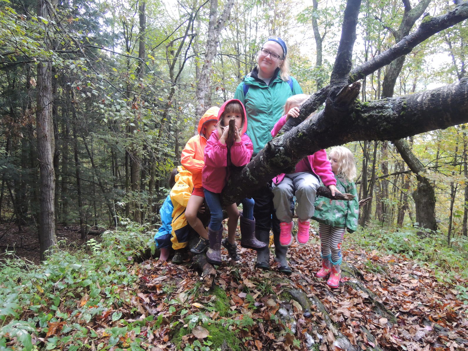 Tree Airplane fun