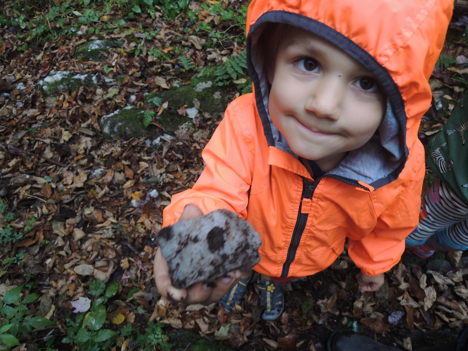 Preschooler With Rock